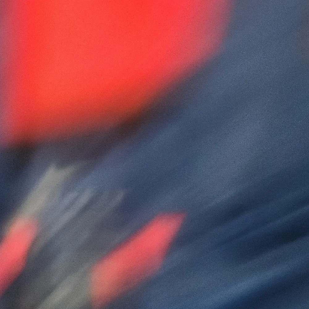 Nike Navy and Red Kids Hoodie